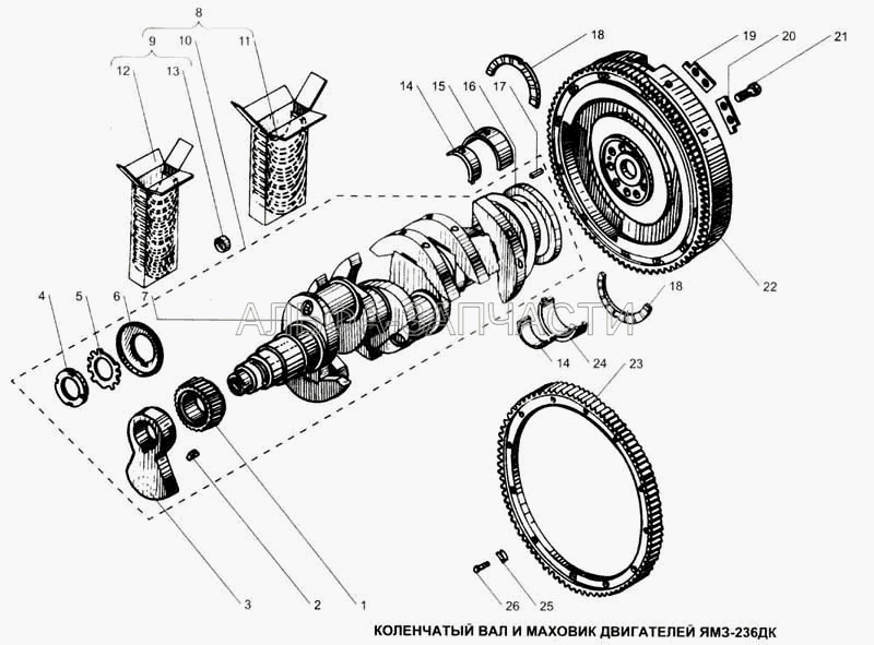Коленчатый вал и маховик двигателей ЯМЗ236ДК (236-1005030-А Шестерня распределительная) 