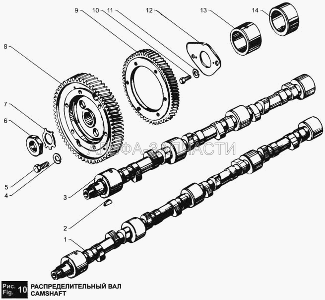 Распределительный вал (236-1029116-А Шестерня ведущая привода топливного насоса) 