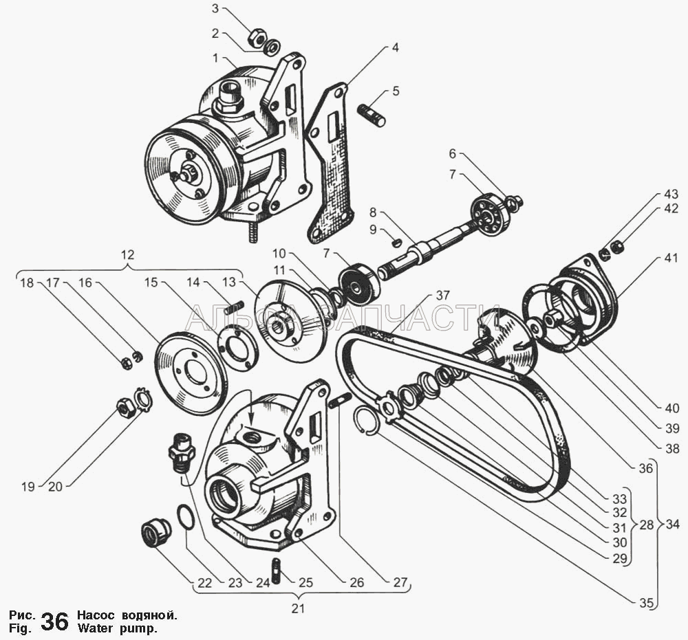 Насос водяной (236-1307212-Б3 Шкив привода насоса) 