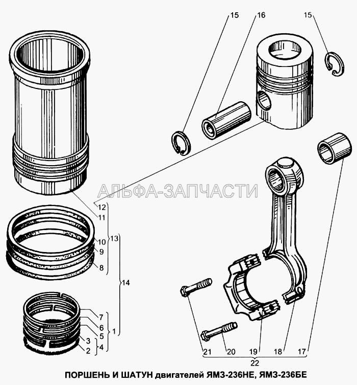 Поршень и шатун (236-1002040 Кольцо антикавитационное) 