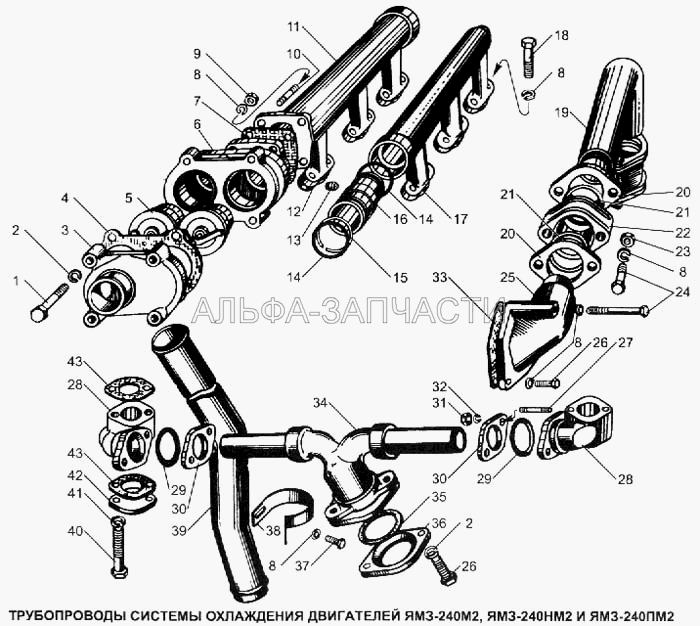 Трубопроводы системы охлаждения двигателей ЯМЗ-240М2, ЯМЗ-240НМ2 и ЯМЗ-240ПМ2  