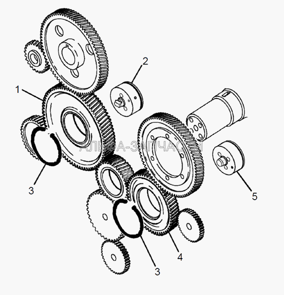 Шестерни привода агрегатов (650.1029117 Шестерня промежуточная насоса топливного) 