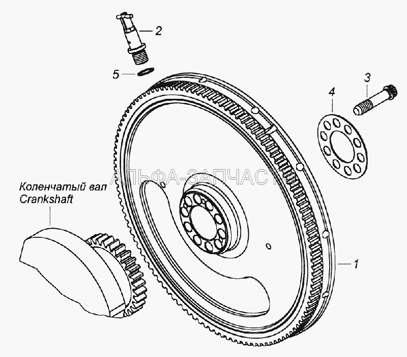 740.50-1005100-10 Установка маховика и фиксатора  