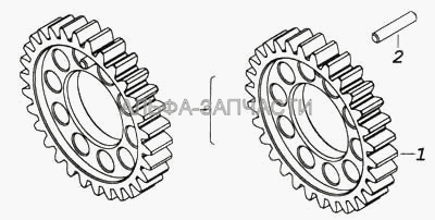 Шестерня коленчатого вала  