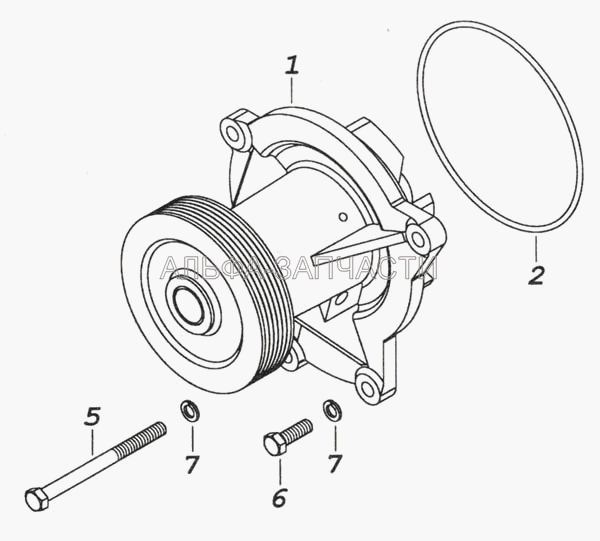7406.1307005 Установка водяного насоса (740.1307075 Кольцо уплотнительное) 