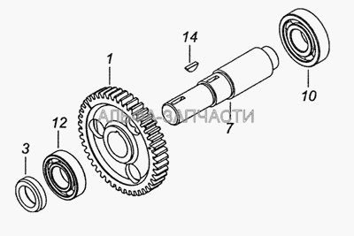 740.37-1121010 Шестерня, ведомая привода ТНВД (740.37-1029032 Втулка) 