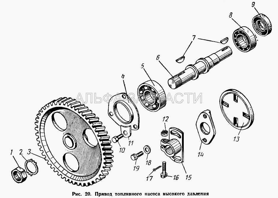 Привод топливного насоса высокого давления (236-1029120-Б Шестерня ведомая привода топливного насоса с валом в сборе) 