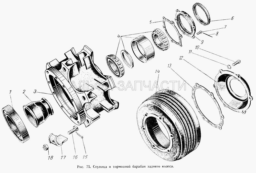 Ступица и тормозной барабан заднего колеса  