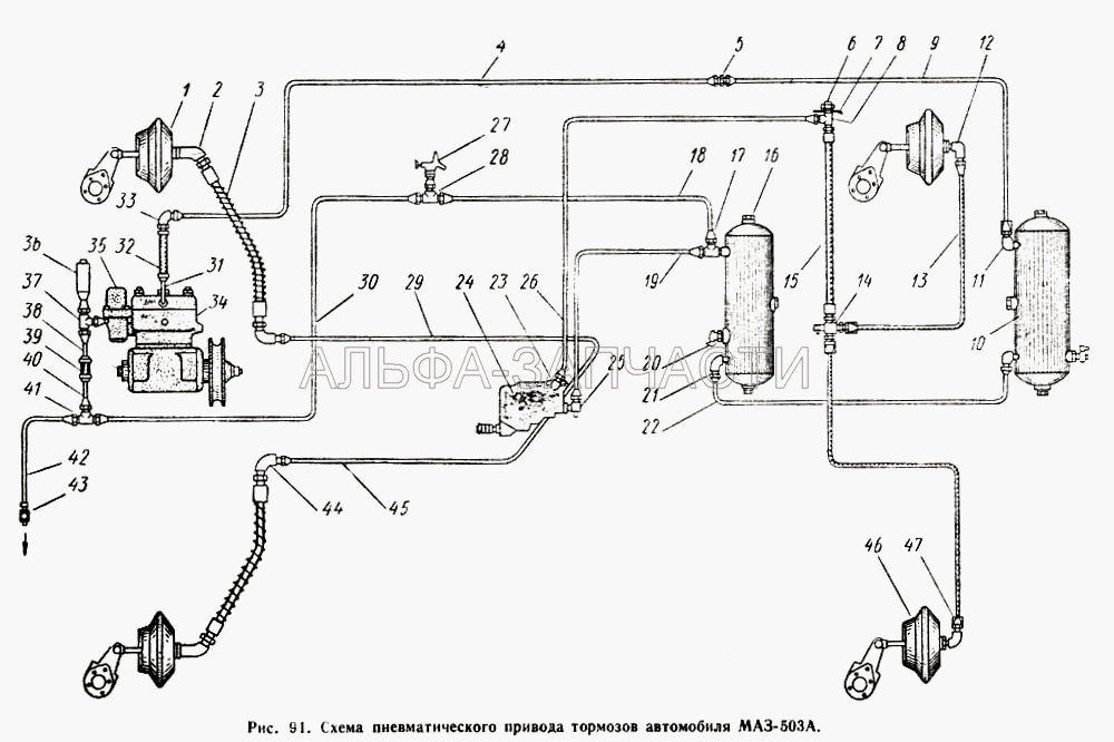 Схема пневматического привода тормозов автомобиля МАЗ-503А (500-3506094-А Шланг) 