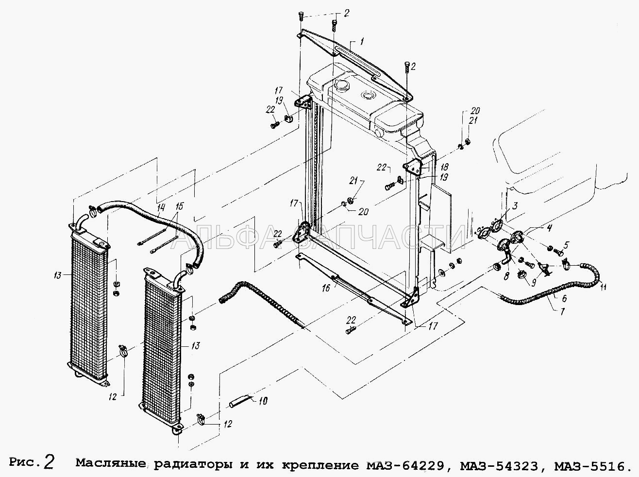 Масляные радиаторы и их крепление МАЗ-64229, МАЗ-54323,МАЗ-5516 (250508 Гайка М6-6Н ОСТ 37.001.124 -75) 