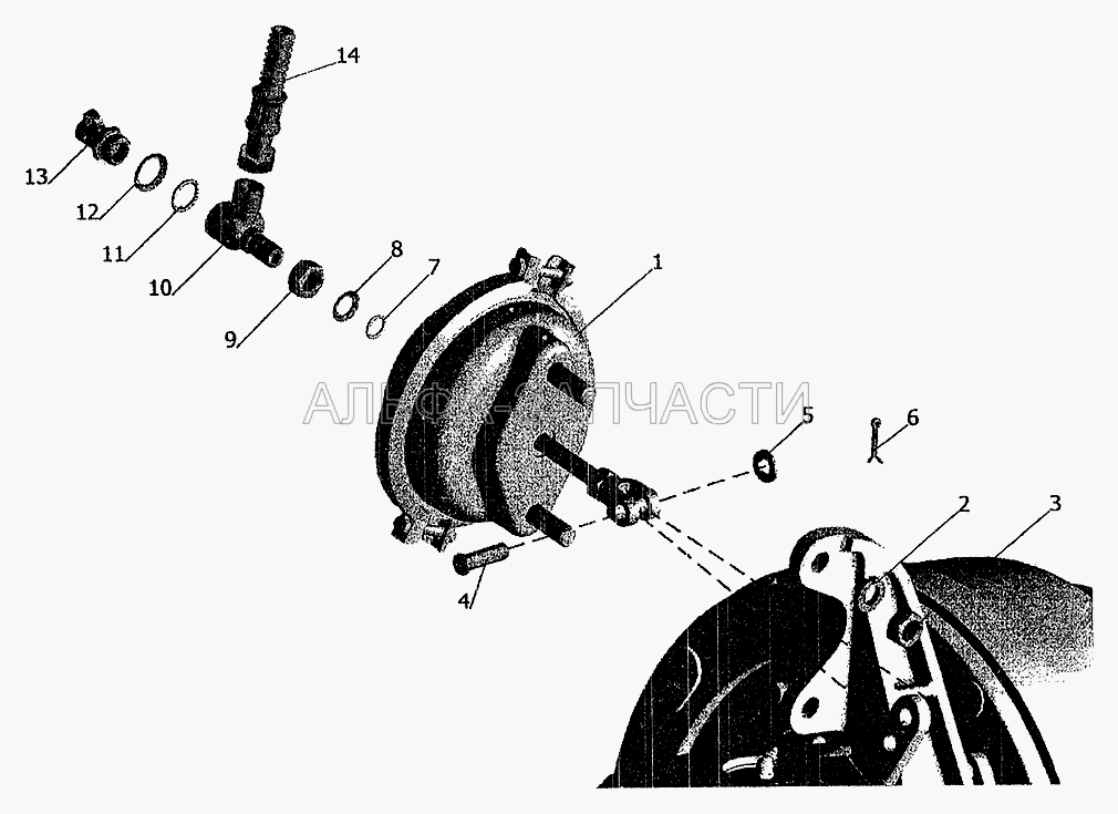 Установка тормозных камер и присоединительной арматуры (100-3519210-01 Камера тормозная передняя) 