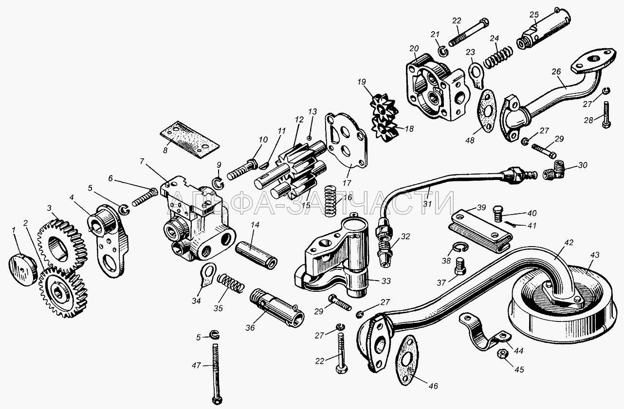 Насос масляный (236-1011230 Шестерня привода масляного насоса ведомая) 