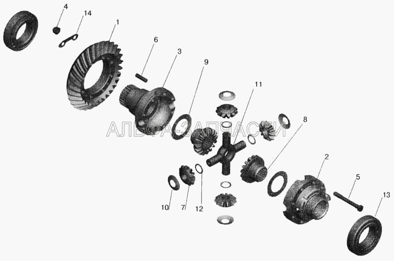 Редуктор заднего моста. Дифференциал  