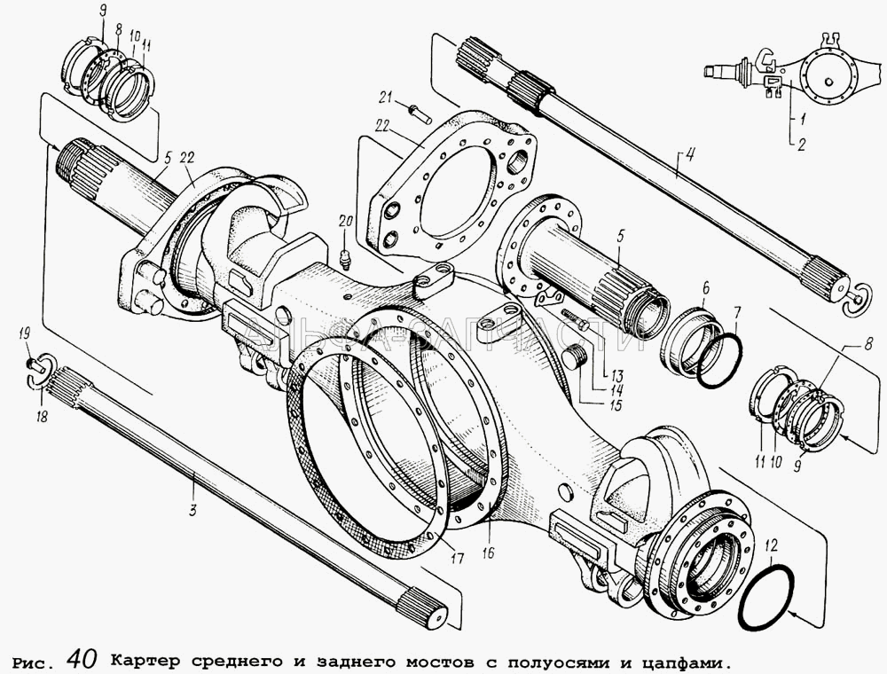 Картер заднего и среднего мостов с полуосями и цапфами  