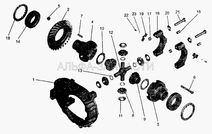 Редуктор среднего моста. Дифференциал с картером редуктора  