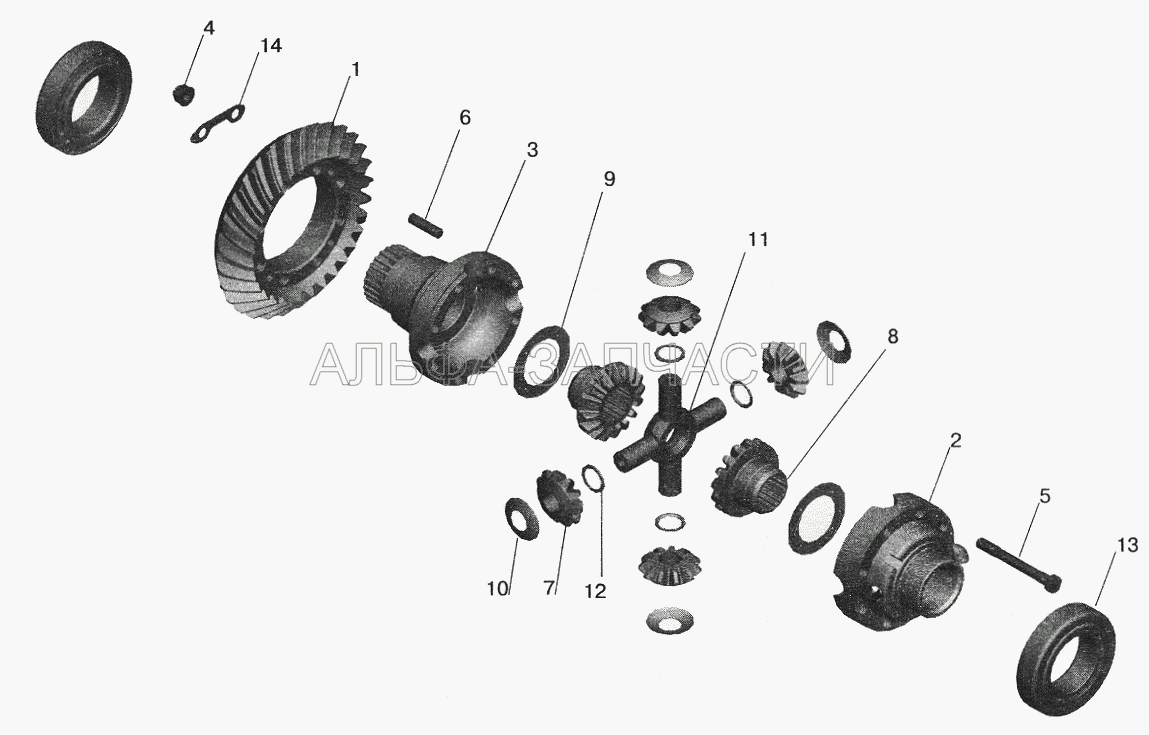 Редуктор заднего моста. Дифференциал  