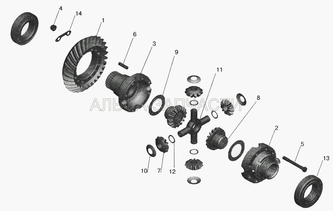 Редуктор заднего моста. Дифференциал  