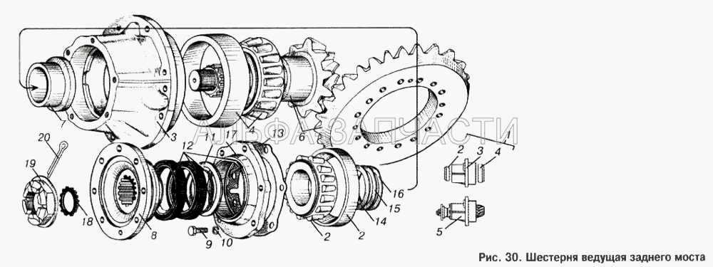 Шестерня ведущая заднего моста  
