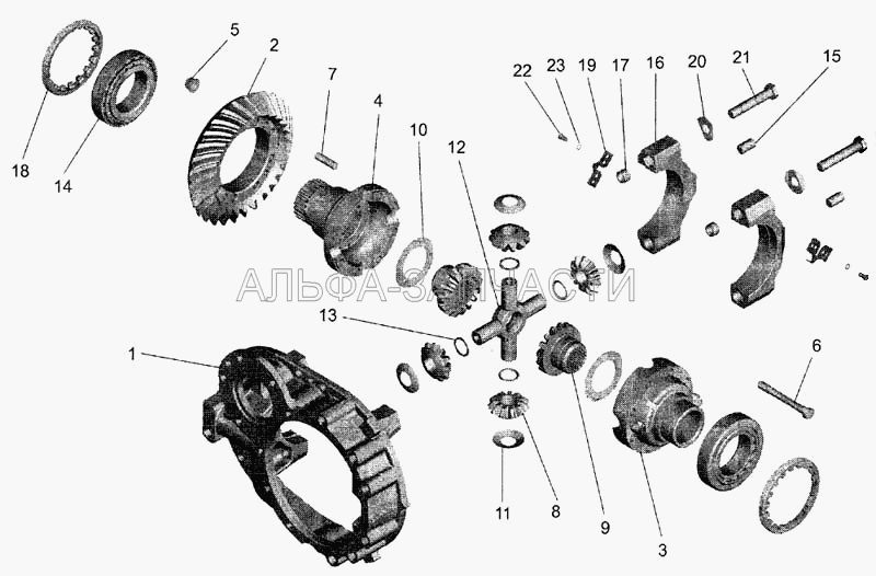 Редуктор среднего моста. Дифференциал с картером редуктора  
