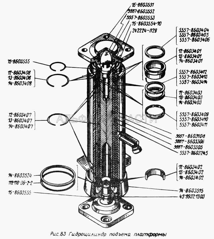 Гидроцилиндр подъема платформы (5557-8603043 Гидроцилиндр) 
